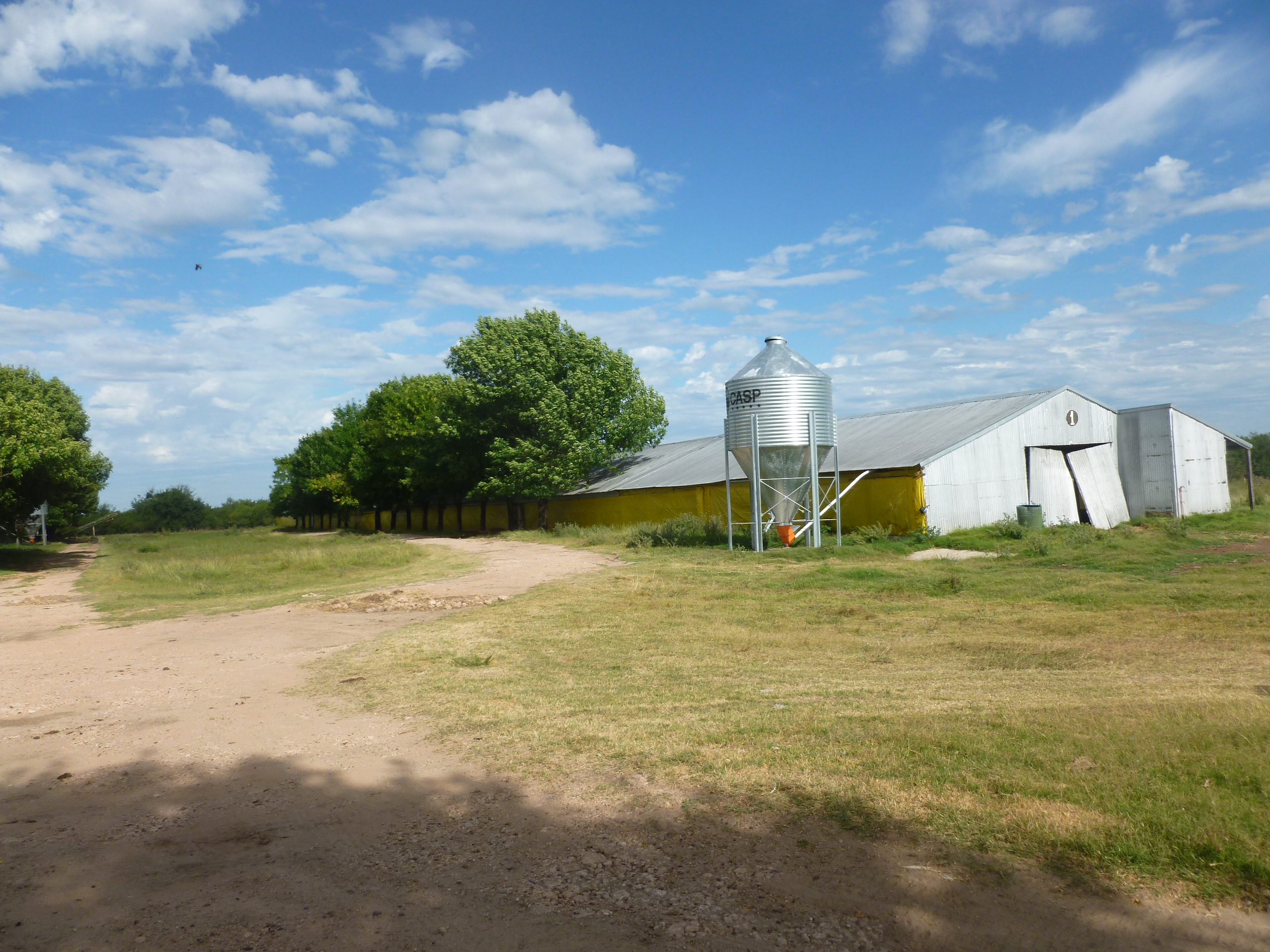 Granja Avícola - Rincón del Gená - Herrera