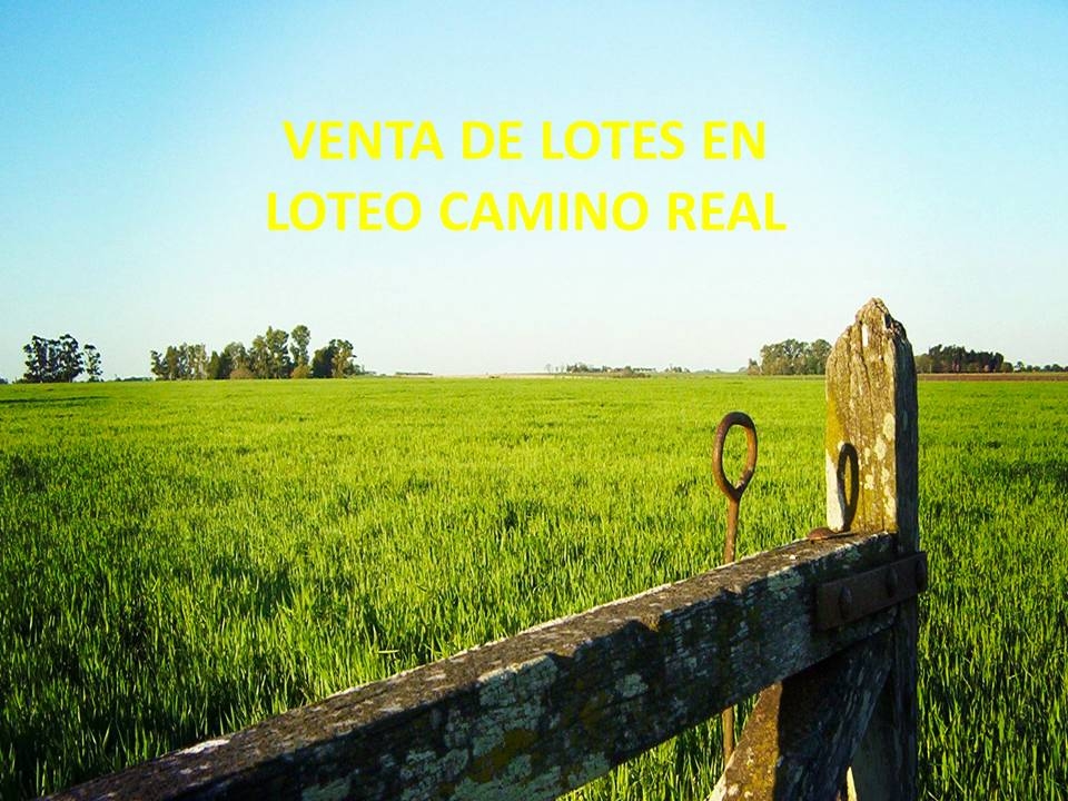 Loteo Camino Real - San Justo